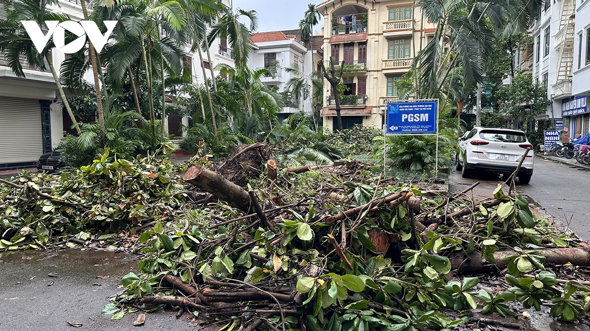 Hai tuần sau bão số 3, nhiều tuyến phố, khu đô thị ở Hà Nội vẫn ngổn ngang cây bật gốc